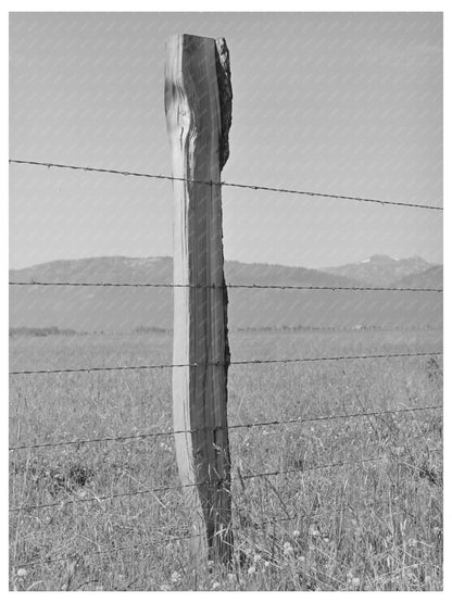 1941 Vintage Black and White Fence at Cruzen Ranch Idaho - Available at KNOWOL