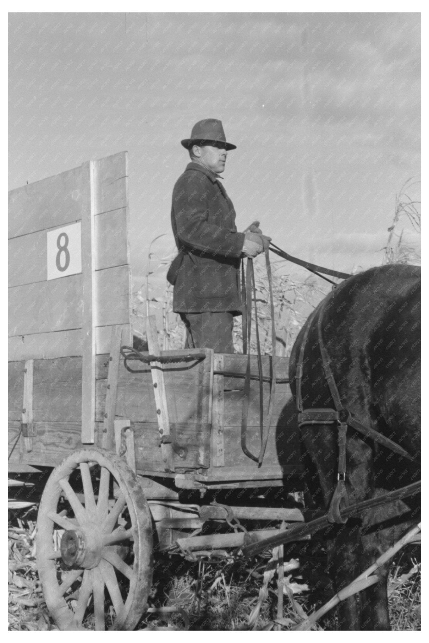 1941 Vintage Farmer Wagon Cornhusking Contest Ontario Oregon - Available at KNOWOL