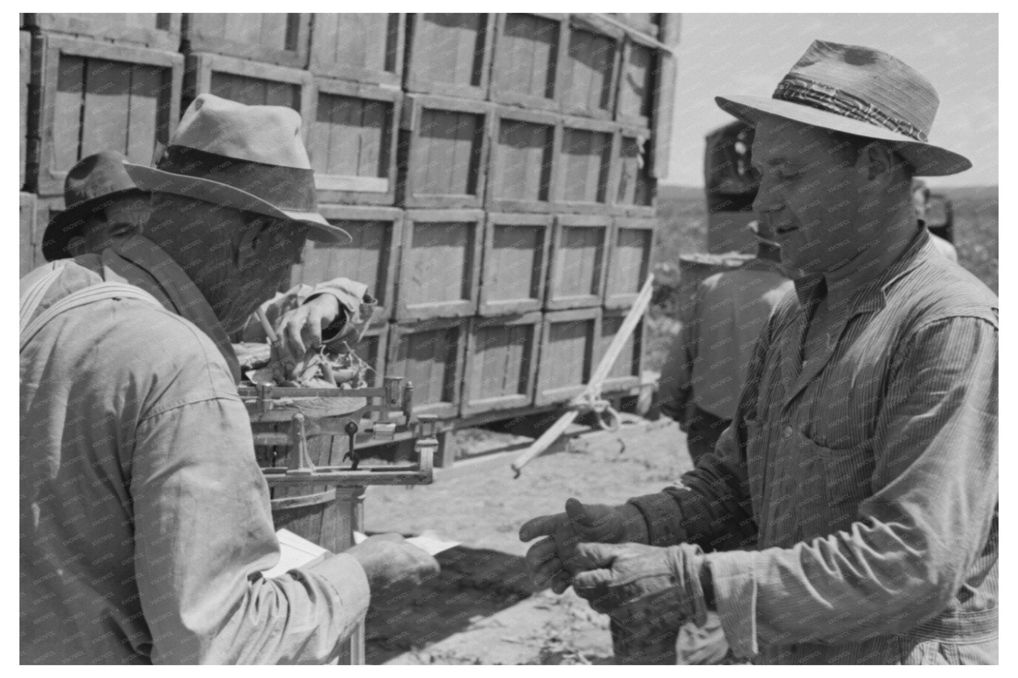 1941 Vintage Image of Tying Pea Crates for Transport - Available at KNOWOL