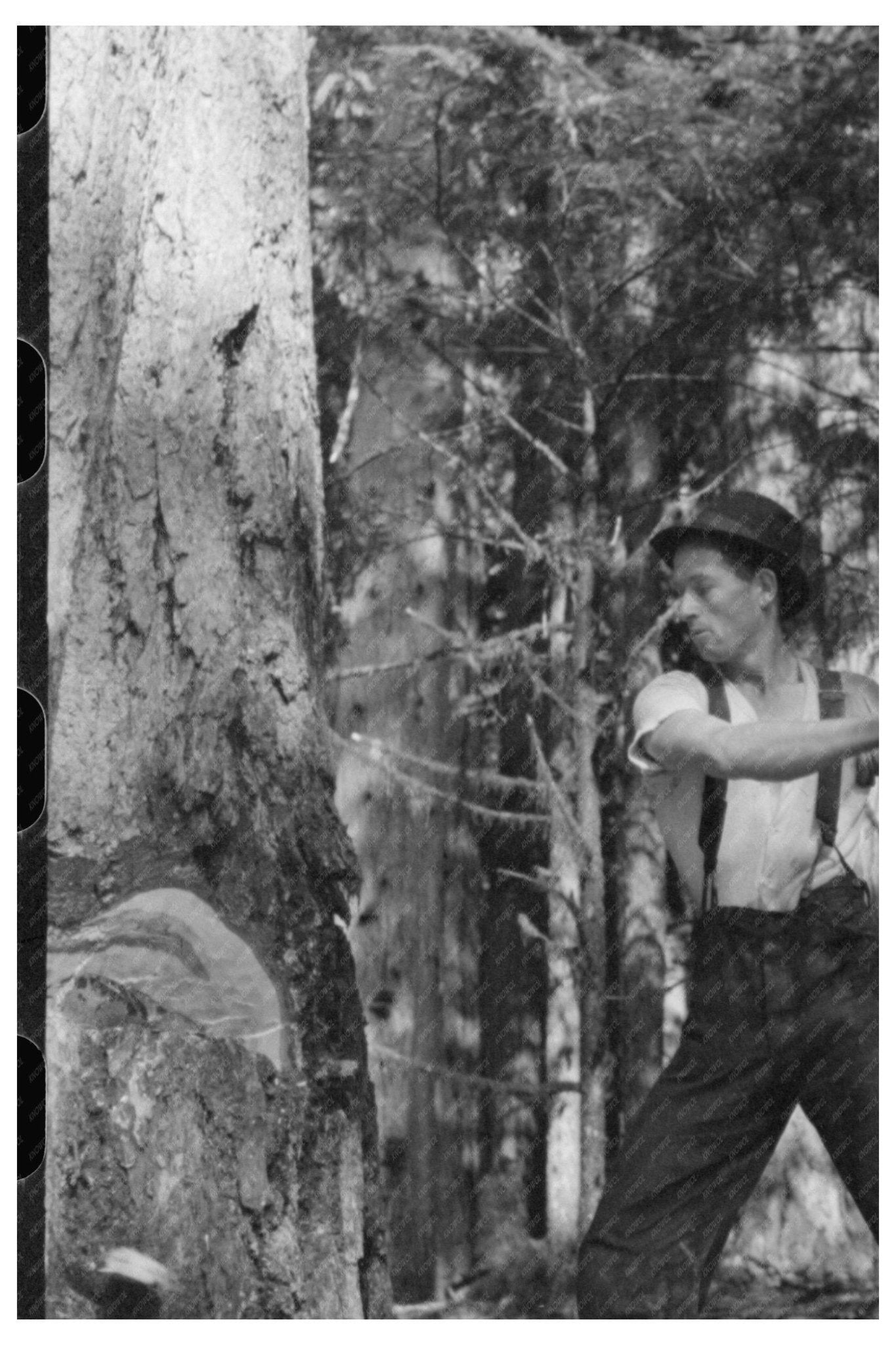 1941 Vintage Logging Photo in Cowlitz County Washington - Available at KNOWOL