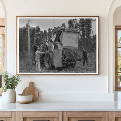 1941 Vintage Mechanical Hop Picker in Yakima Washington - Available at KNOWOL