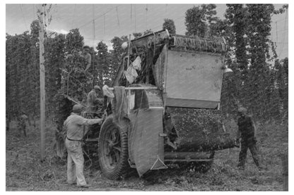 1941 Vintage Mechanical Hop Picker in Yakima Washington - Available at KNOWOL