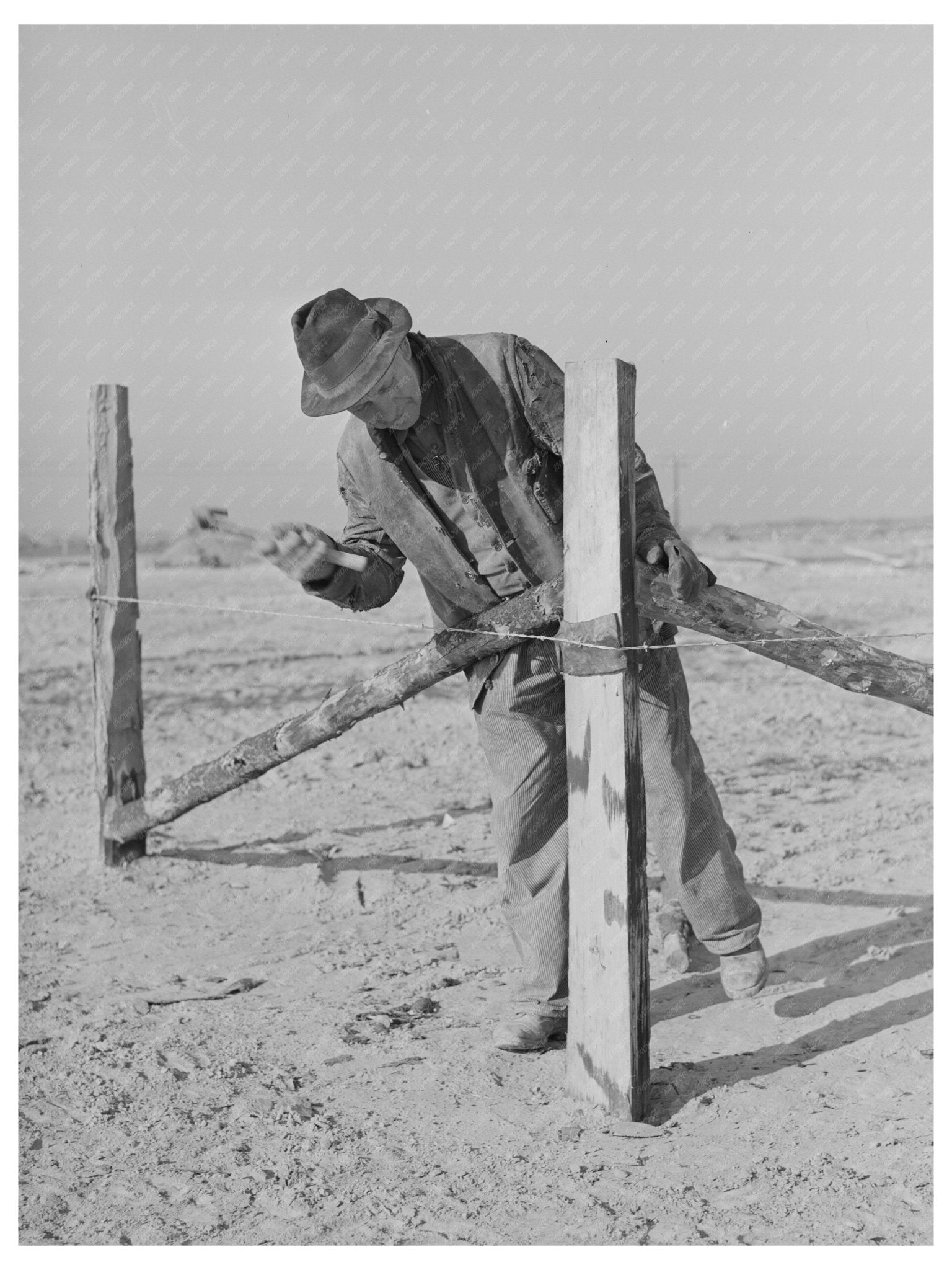 1941 Vintage Photo of Fence Construction in Idaho - Available at KNOWOL