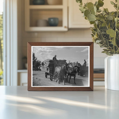 1941 Vintage Photo of Hop Harvesting in Yakima County - Available at KNOWOL