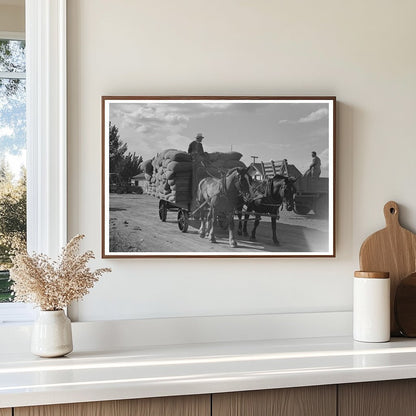 1941 Vintage Photo of Hop Harvesting in Yakima County - Available at KNOWOL