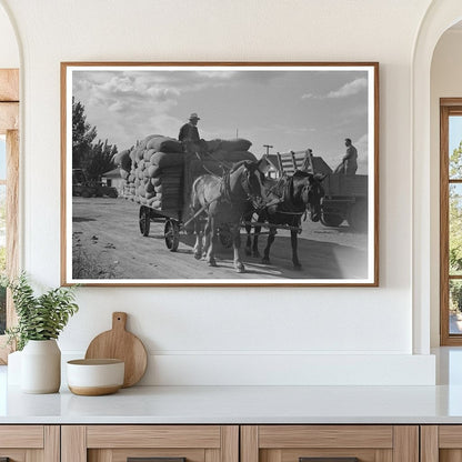 1941 Vintage Photo of Hop Harvesting in Yakima County - Available at KNOWOL