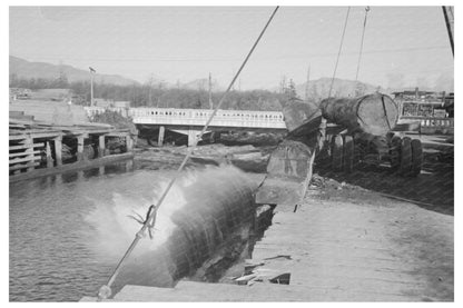 1941 Vintage Photo of Logging Process in Tillamook County - Available at KNOWOL