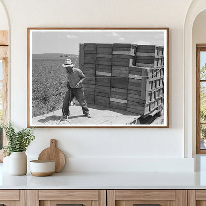 1941 Vintage Photo of Pea Crate Loading in Nampa Idaho - Available at KNOWOL