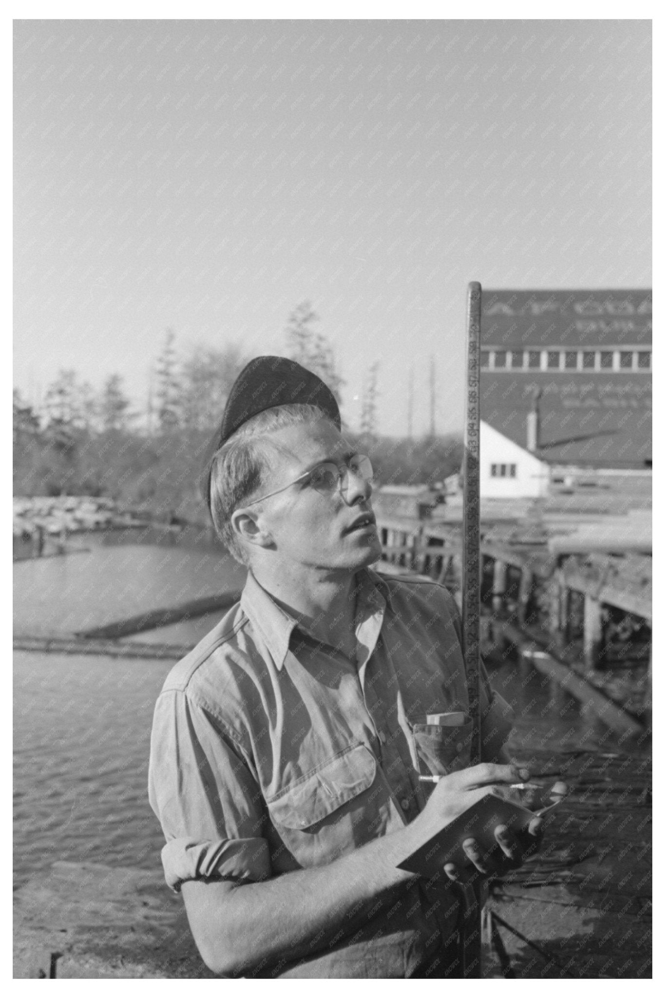 1941 Vintage Photograph of Logging in Tillamook Oregon - Available at KNOWOL