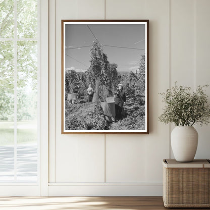 1941 Vintage Workers Harvesting Hops in Yakima County - Available at KNOWOL