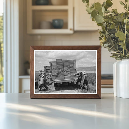 1941 Vintage Workers Tying Peas on Truck in Nampa Idaho - Available at KNOWOL