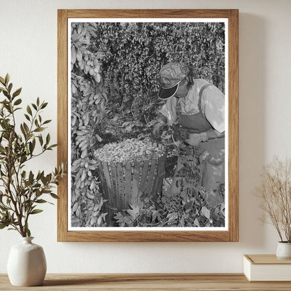 1941 Vintage Yakima County Hop Picker with Basket - Available at KNOWOL