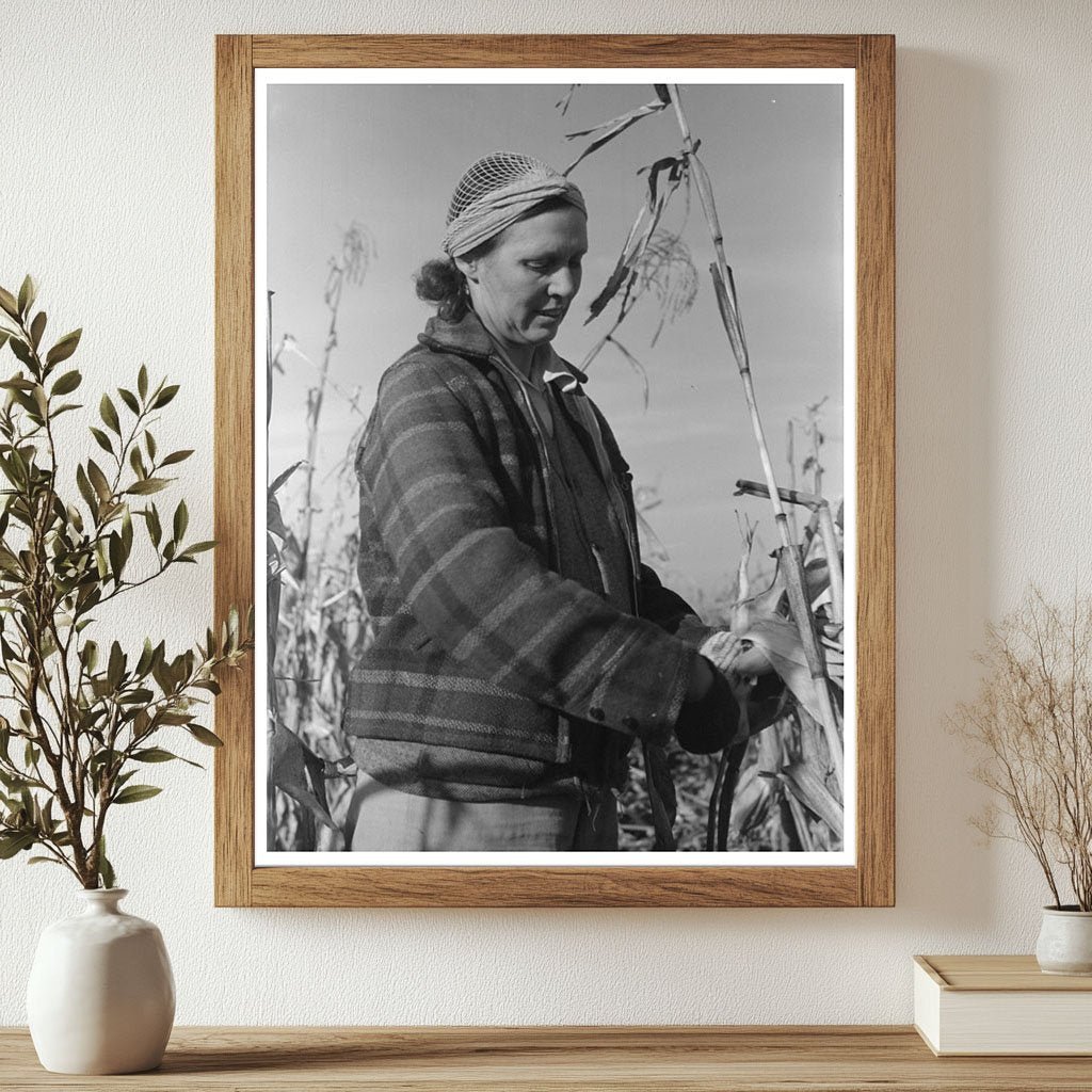 1941 Widow Farmer Husking Corn in Idaho Black Canyon Project - Available at KNOWOL