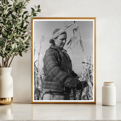 1941 Widow Farmer Husking Corn in Idaho Black Canyon Project - Available at KNOWOL