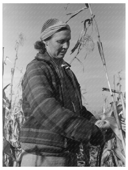 1941 Widow Farmer Husking Corn in Idaho Black Canyon Project - Available at KNOWOL