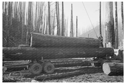 1941 Workers Loading Logs in Tillamook County Oregon - Available at KNOWOL