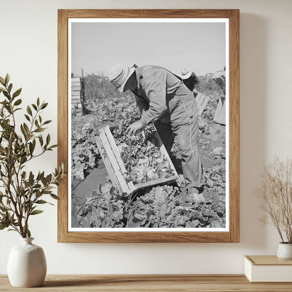 1941 Workers Packing Lettuce in Canyon County Idaho - Available at KNOWOL