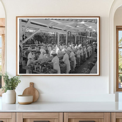 1941 Workers Packing Salmon at Columbia River Packing Association - Available at KNOWOL