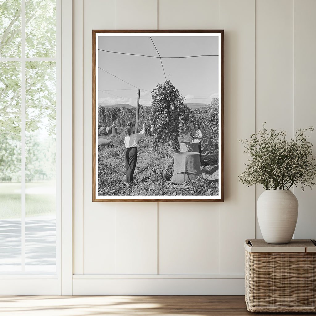 1941 Workers Pulling Down Hop Vines in Yakima County - Available at KNOWOL