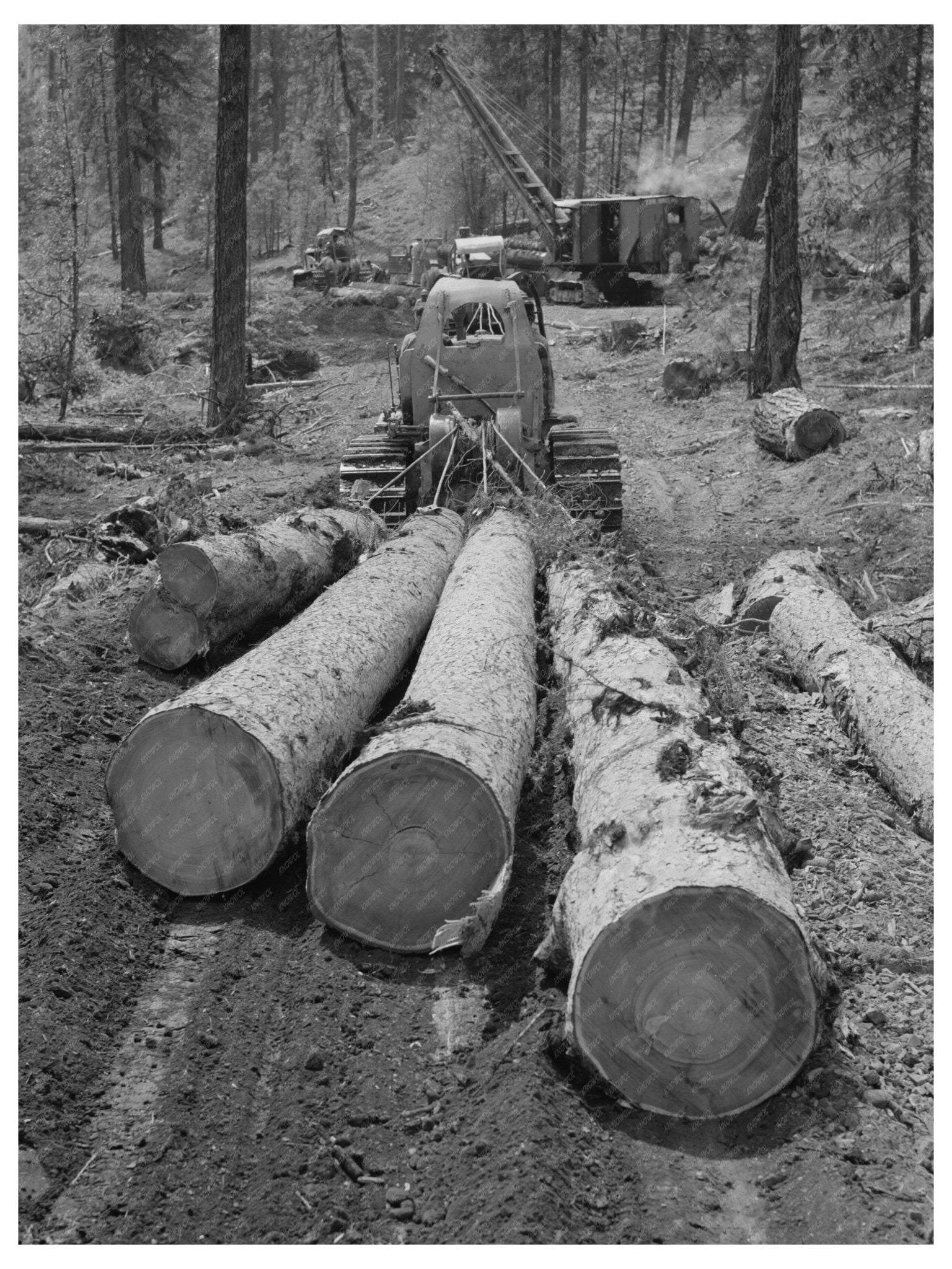 1942 Diesel Caterpillar Tractor Logging in Malheur Forest - Available at KNOWOL