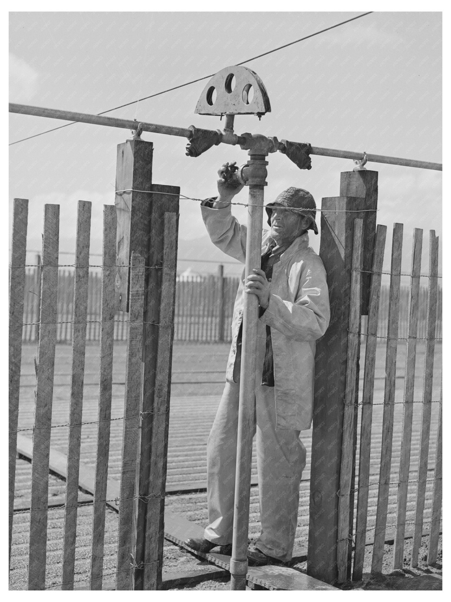 1942 Irrigation in Guayule Nursery Salinas California - Available at KNOWOL