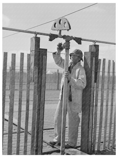 1942 Irrigation in Guayule Nursery Salinas California - Available at KNOWOL