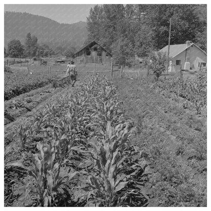 1942 Jackson County Oregon Garden Photo from FSA Collection - Available at KNOWOL