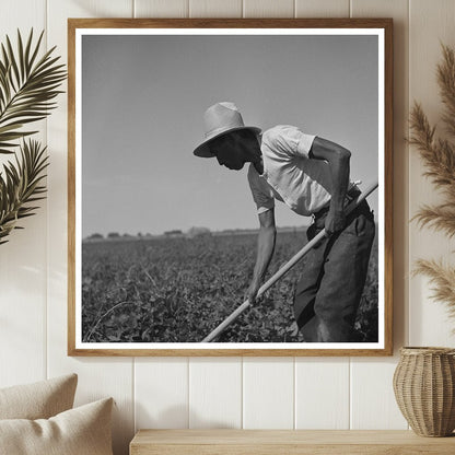 1942 Japanese Farm Worker in Twin Falls County Idaho - Available at KNOWOL