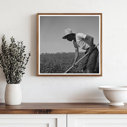 1942 Japanese Farm Worker in Twin Falls County Idaho - Available at KNOWOL