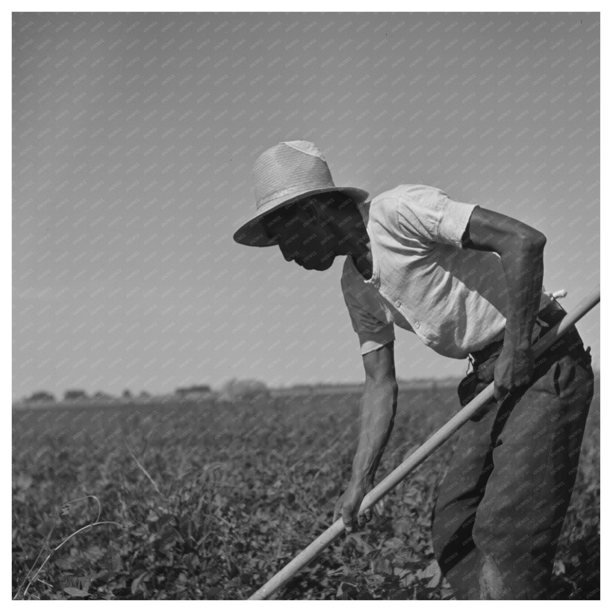 1942 Japanese Farm Worker in Twin Falls County Idaho - Available at KNOWOL