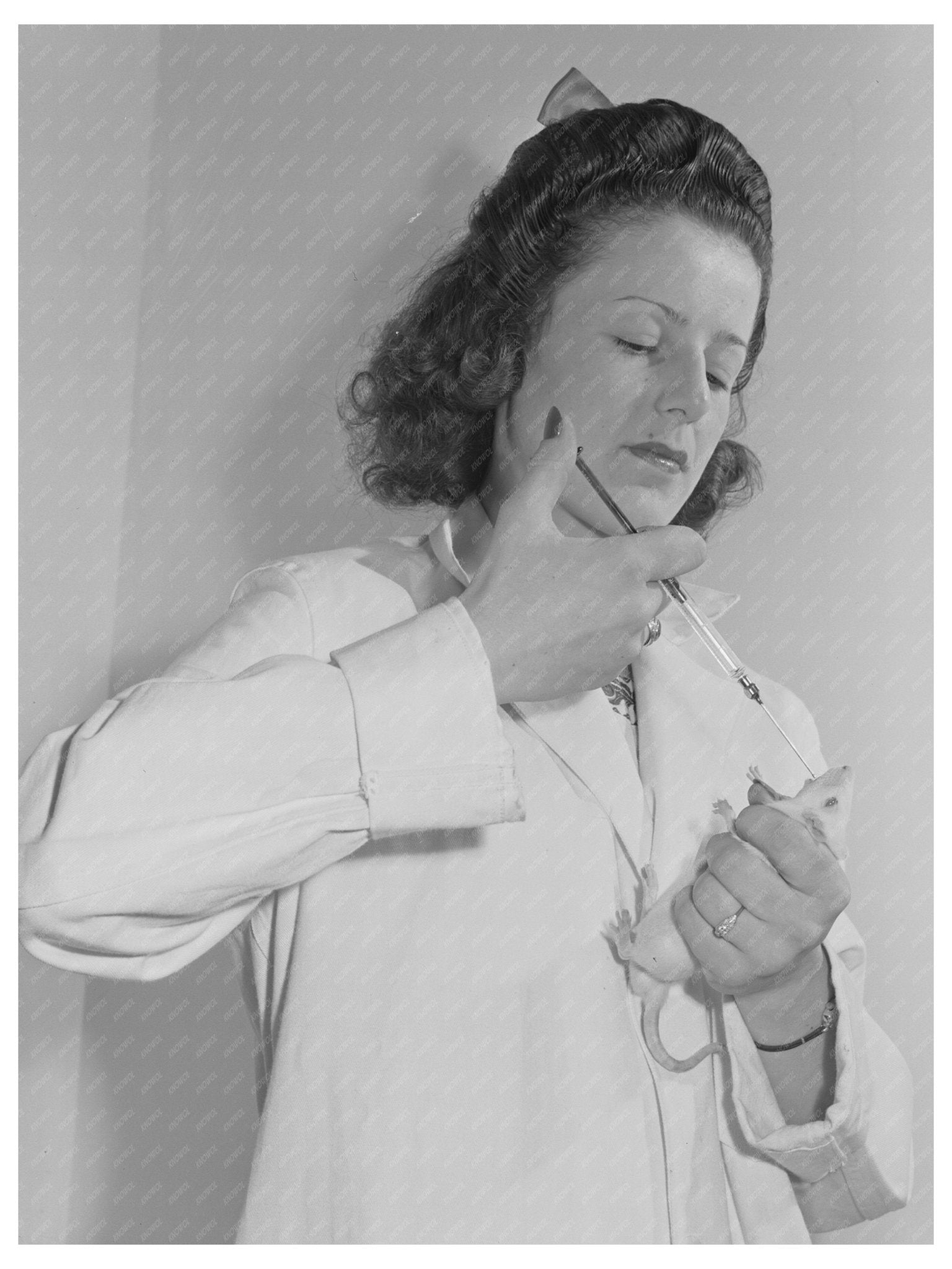 1942 Laboratory Technician Feeding Rat Vitamin Solution - Available at KNOWOL