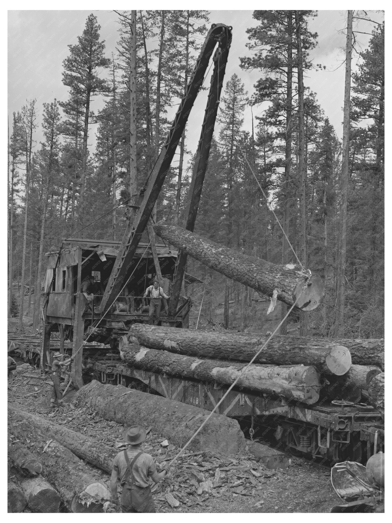 1942 Loading Logs from Trucks to Flatcars in Oregon - Available at KNOWOL