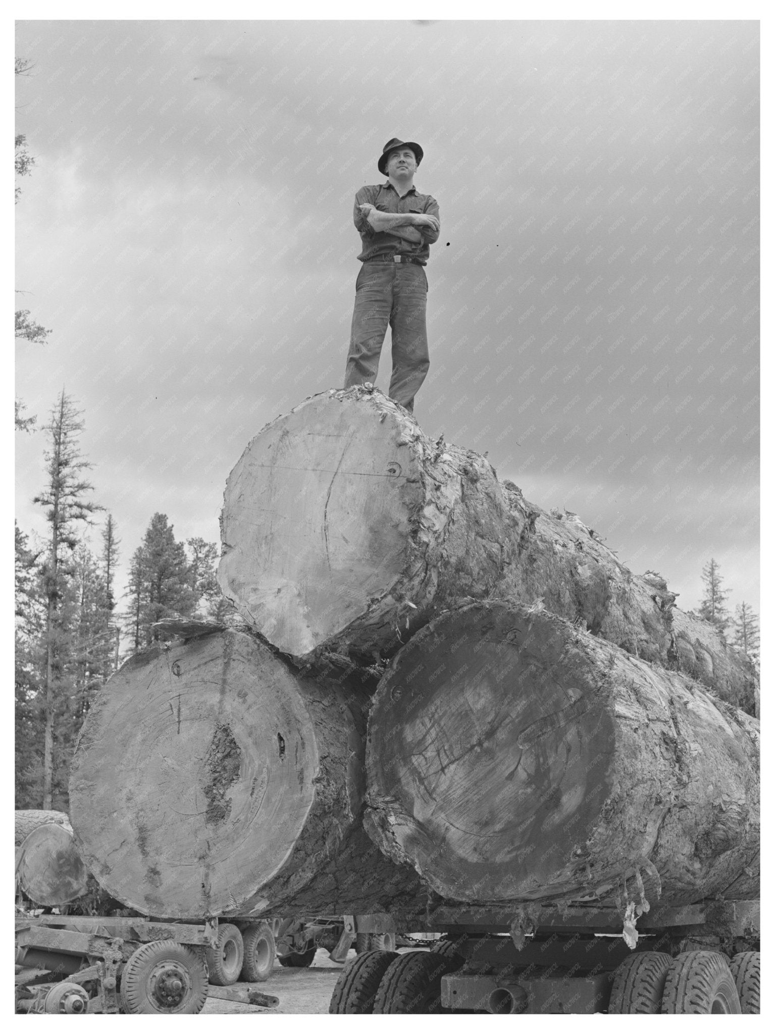 1942 Lumberjack Truckload of Logs Grant County Oregon - Available at KNOWOL