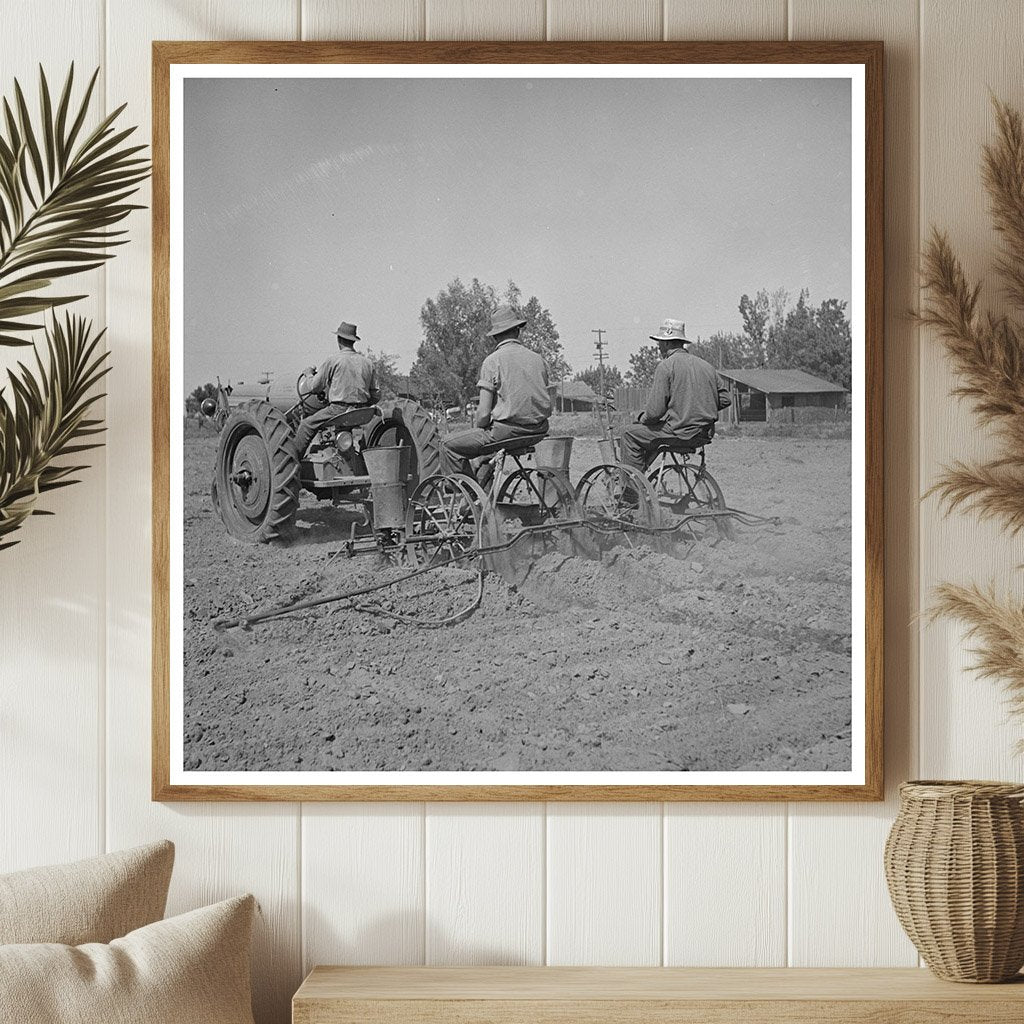 1942 Merced County Peanut Planting in California - Available at KNOWOL