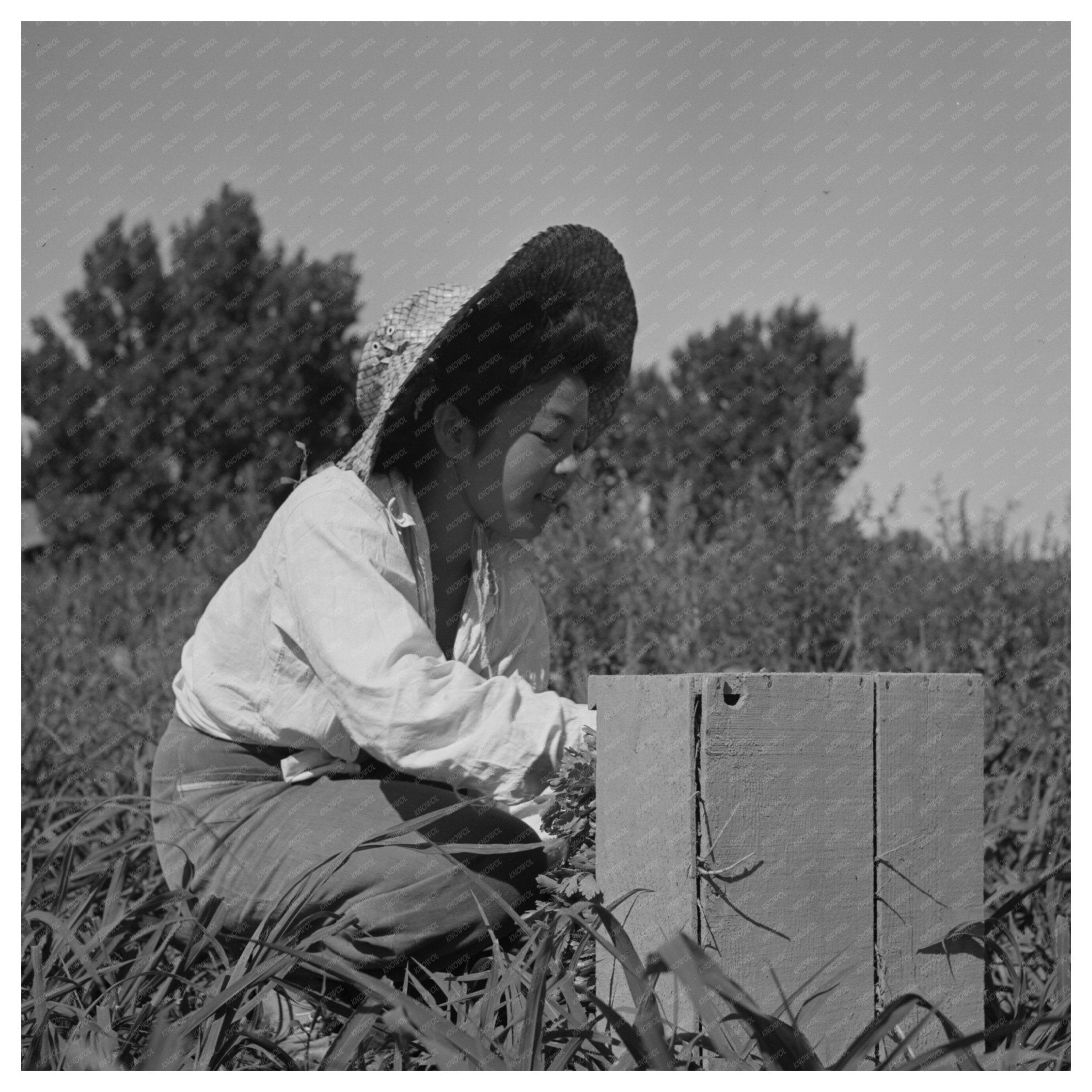 1942 Mobile Camp with Japanese - American Farm Worker in Oregon - Available at KNOWOL