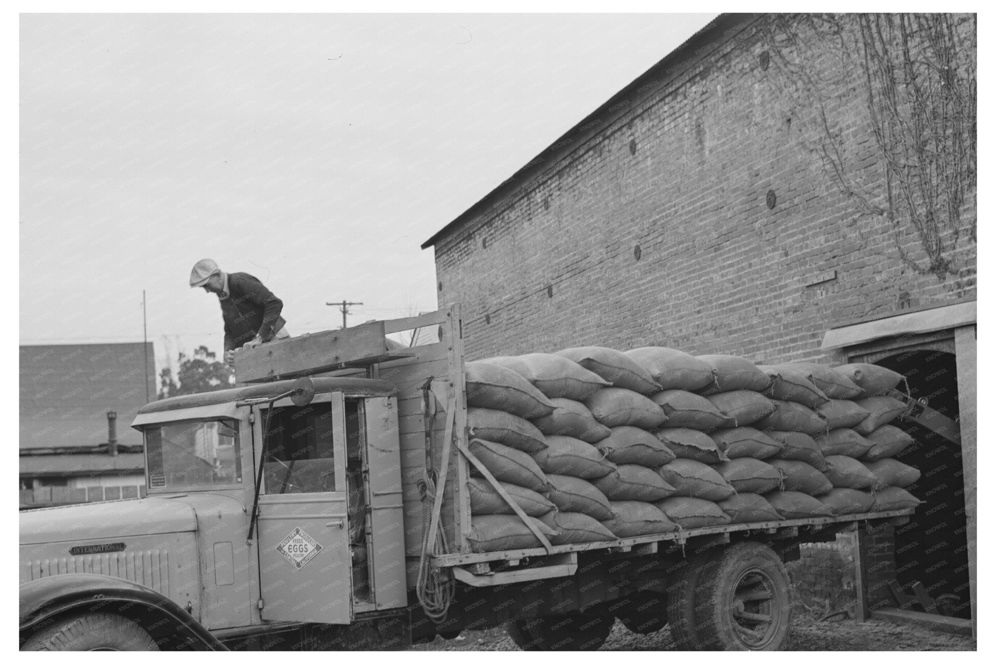 1942 Petaluma Warehouse Workers Loading Feed Truck - Available at KNOWOL