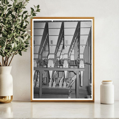 1942 Vintage Grain Hoppers for Chicken Feed in Petaluma - Available at KNOWOL