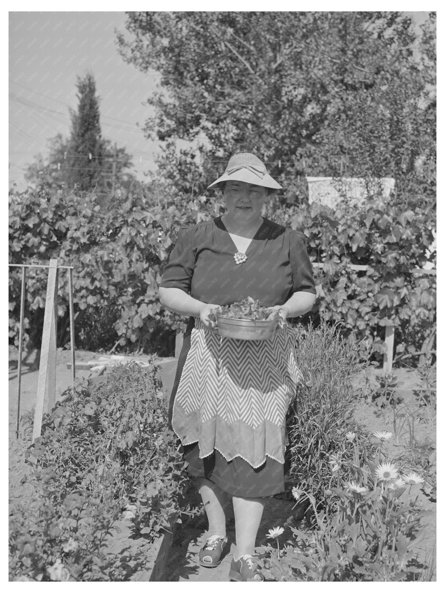1942 Vintage Housewife Gardening in Turlock California - Available at KNOWOL