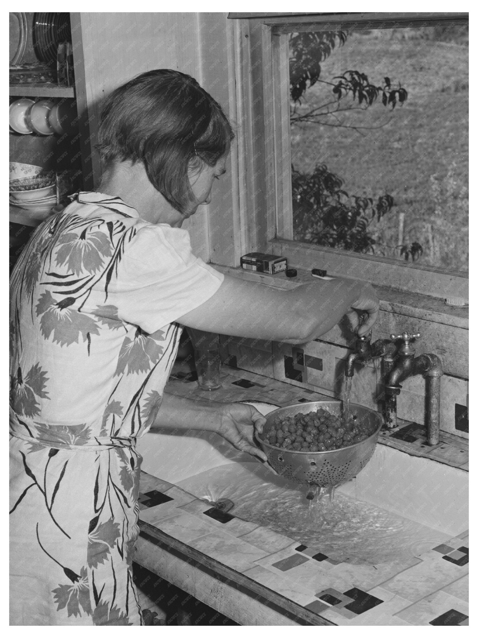 1942 Woman Washing Berries in Ola Idaho with Running Water - Available at KNOWOL