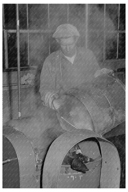 1942 Worker Dumps Cabbage into Drying Vat in Albany California - Available at KNOWOL