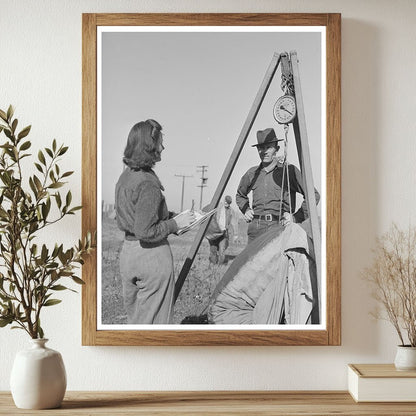 1942 Workers Weighing Cotton in Tulare County California - Available at KNOWOL