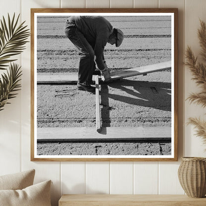 1942 Workman Installing Duckboards in Guayule Nursery California - Available at KNOWOL