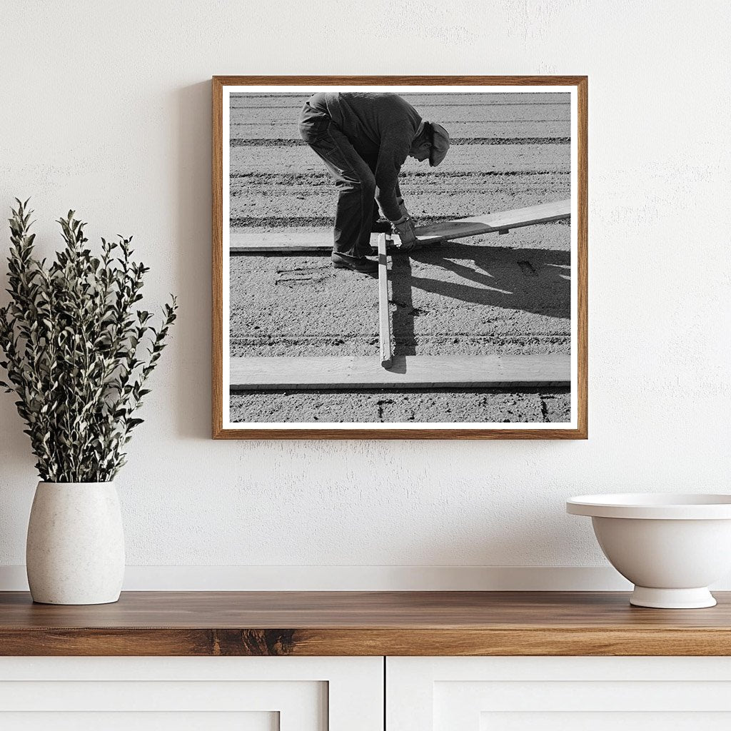 1942 Workman Installing Duckboards in Guayule Nursery California - Available at KNOWOL