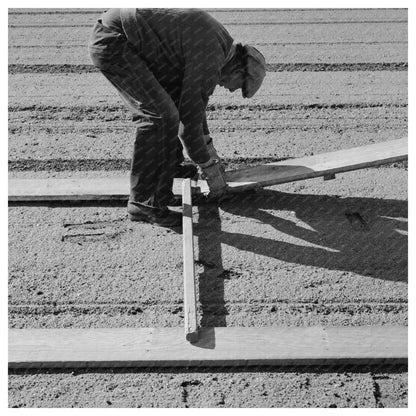 1942 Workman Installing Duckboards in Guayule Nursery California - Available at KNOWOL