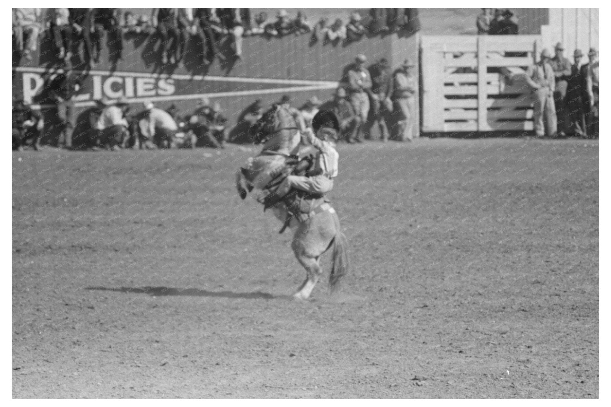 1944 Riding Demonstration at San Angelo Fat Stock Show - Available at KNOWOL