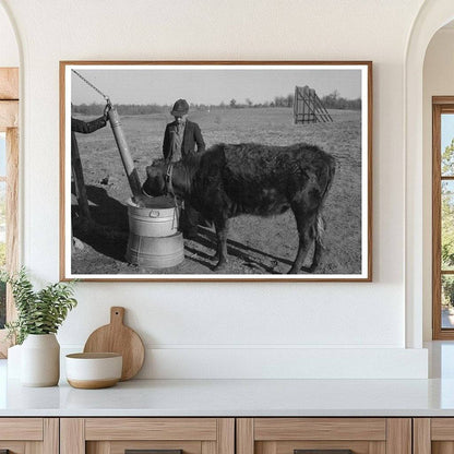 1944 Vintage Photo of Child Watering Calf on Oklahoma Farm - Available at KNOWOL