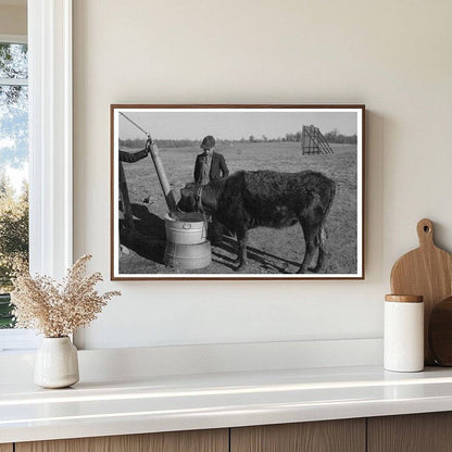 1944 Vintage Photo of Child Watering Calf on Oklahoma Farm - Available at KNOWOL