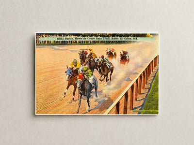 Home stretch, Havre de Grace Race Track, Havre de Grace, MD — Vintage Maryland Postcard