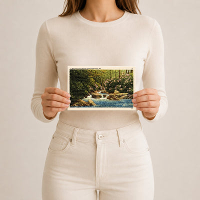 A mountain trout stream near Cumberland, MD — Vintage Maryland Postcard