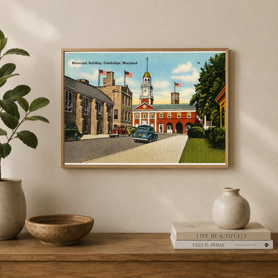 Municipal building, Cambridge, Maryland — Vintage Maryland Postcard
